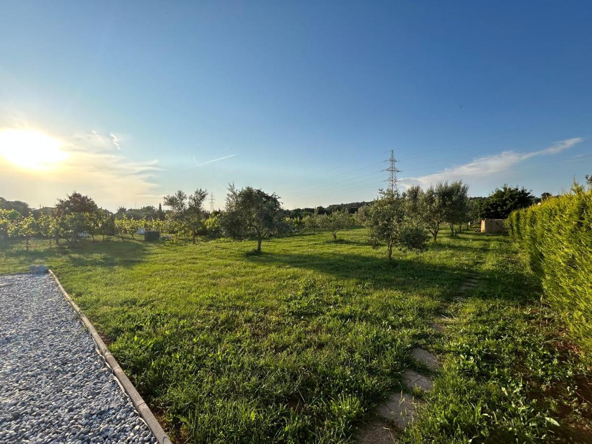 Dora House With Wifi And Outdoor Swimming Pool Villa Pula Exterior photo